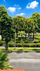 Jalan Sinar Bintang (D17), Terrace #556108771